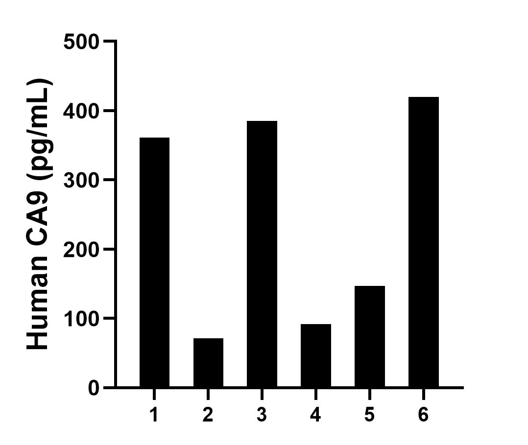 Sample test of MP01136-1